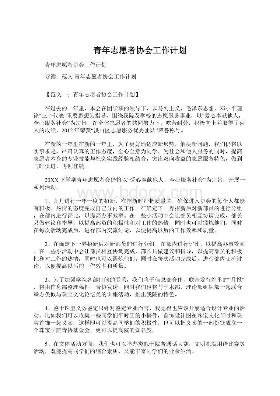 青年志愿者协会工作计划.docx