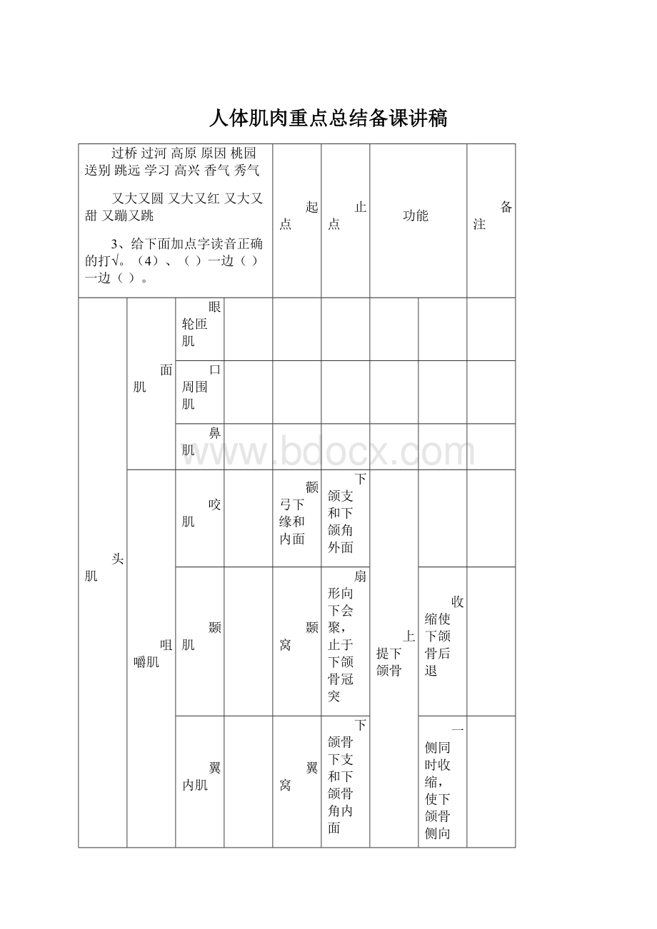 人体肌肉重点总结备课讲稿.docx_第1页