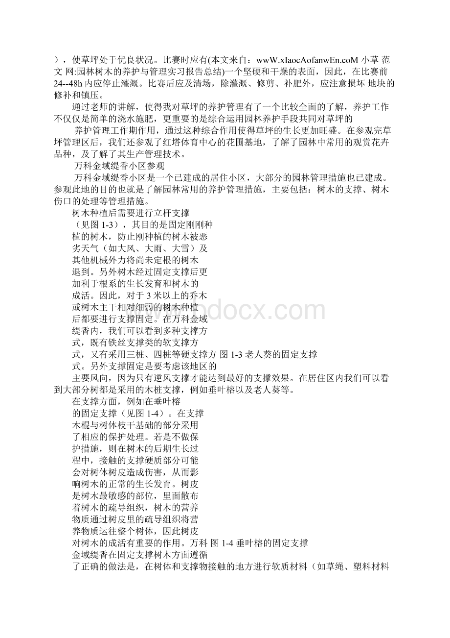 园林树木的养护与管理实习报告总结.docx_第3页