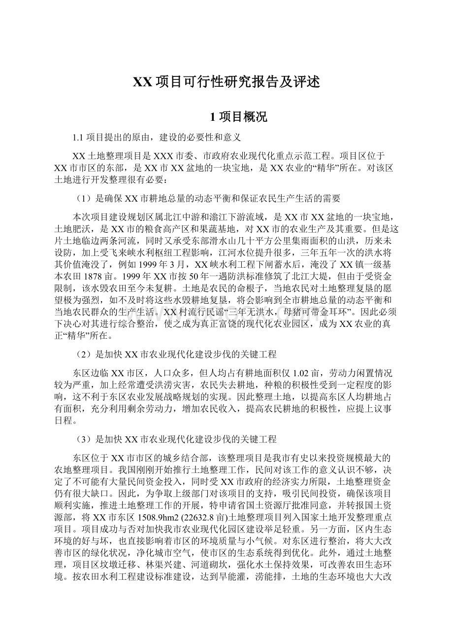 XX项目可行性研究报告及评述.docx_第1页