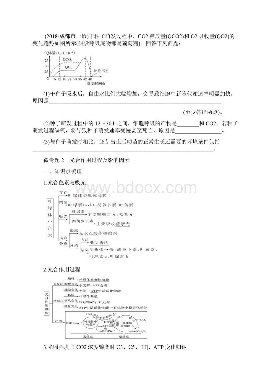 高考生物细胞呼吸和光合作用专题 学案高三生物二轮复习.docx_第3页