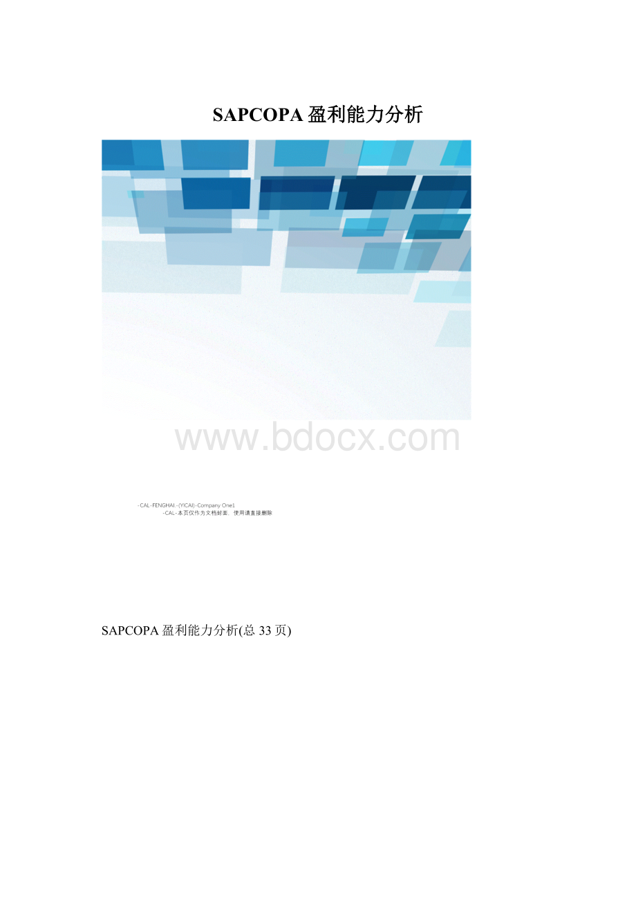 SAPCOPA盈利能力分析文档格式.docx