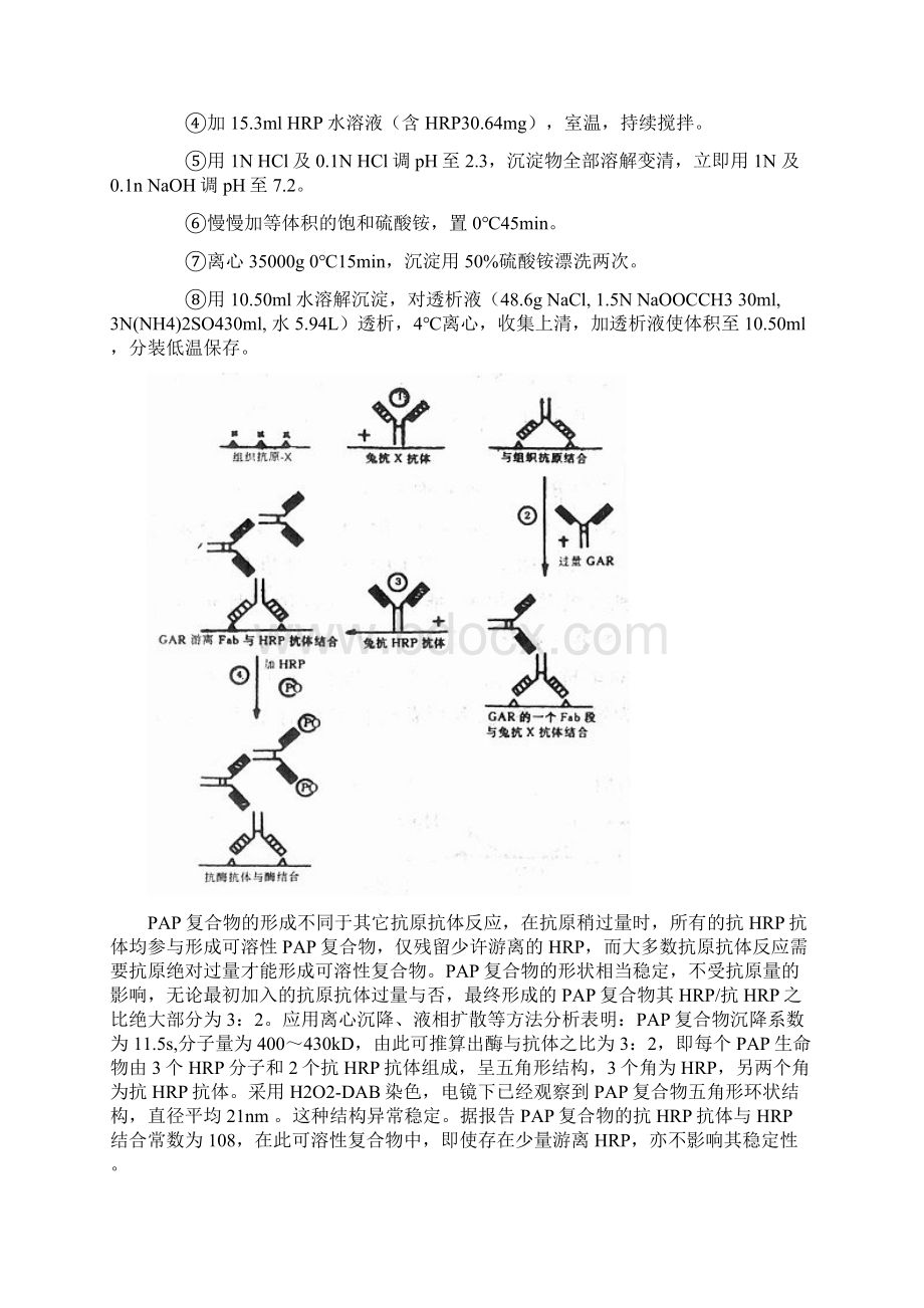 免疫组化非标记免疫酶法PAP.docx_第3页