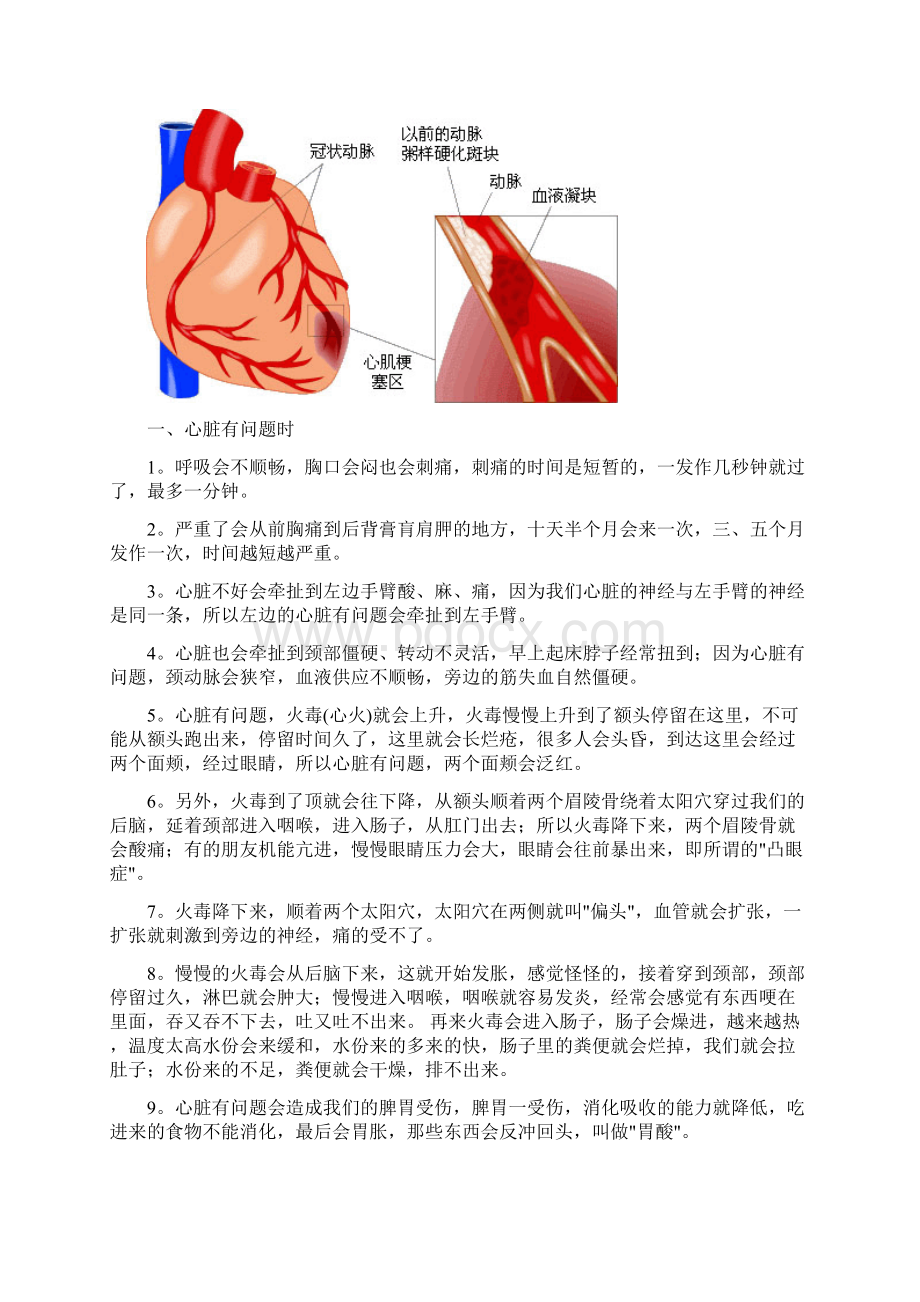 身体器官对应部位一览表Word文档格式.docx_第2页