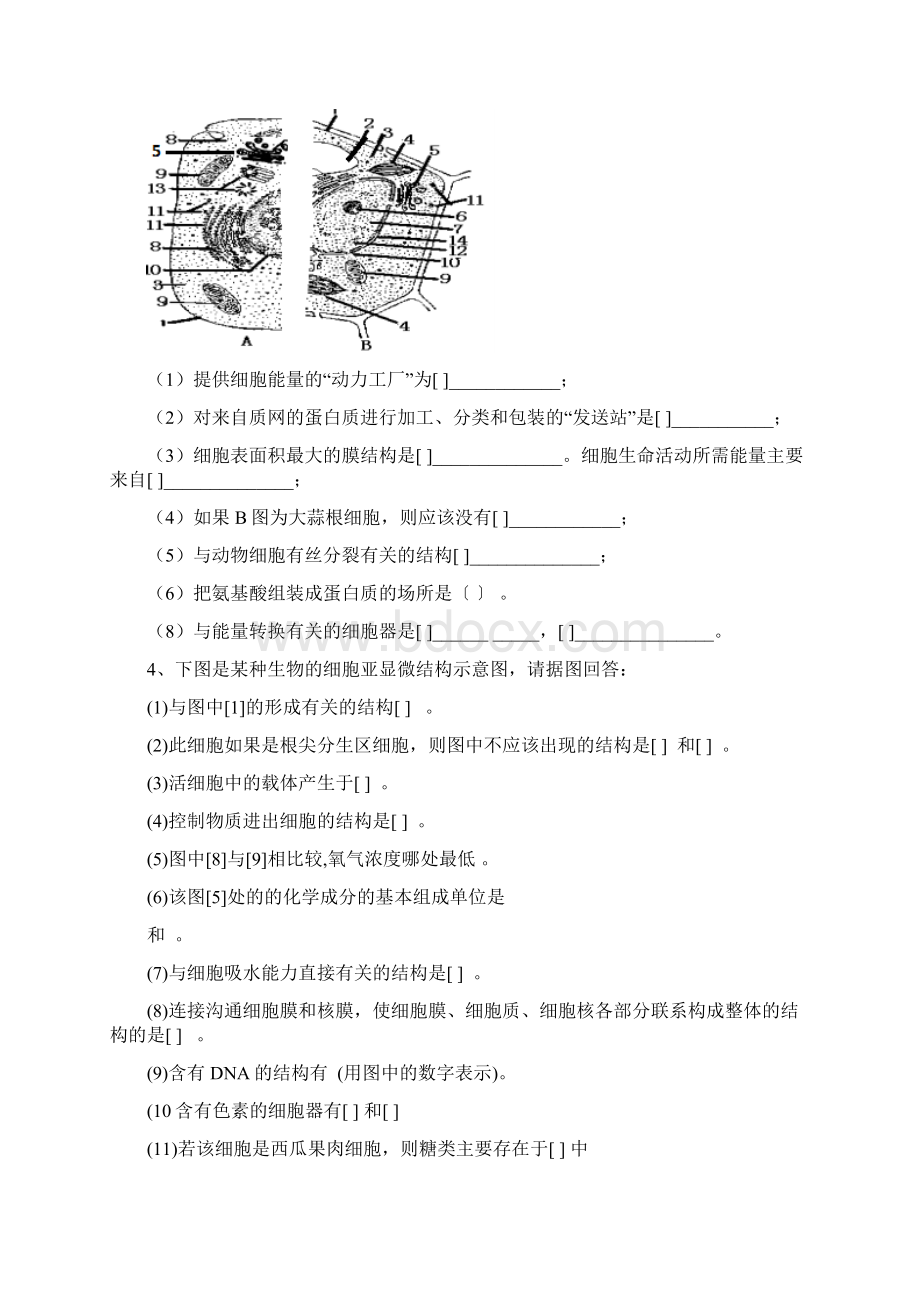 高中生物学考大题专练.docx_第3页