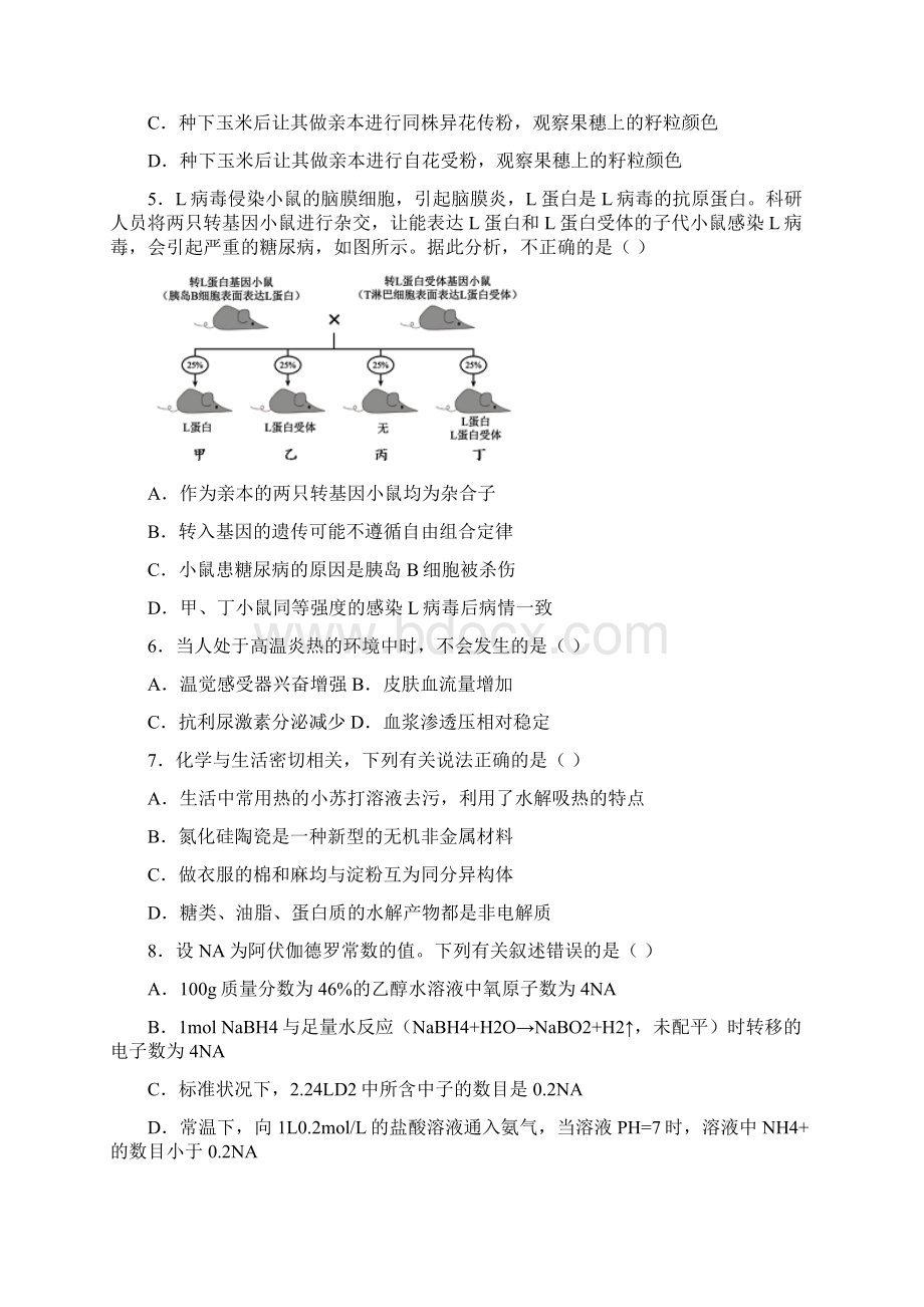 高三理综阶段性测试试题Word文件下载.docx_第2页