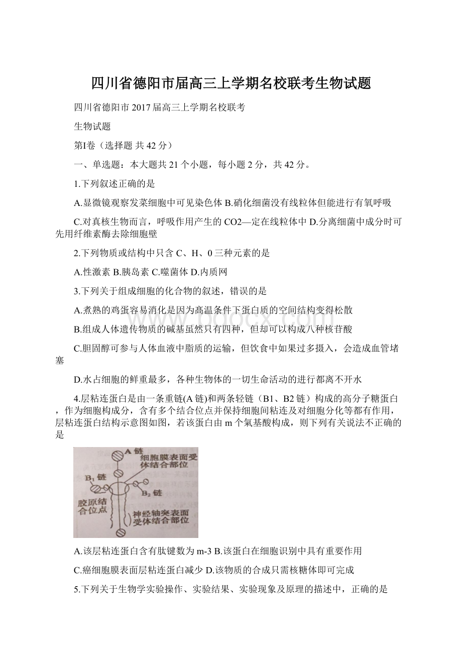 四川省德阳市届高三上学期名校联考生物试题.docx