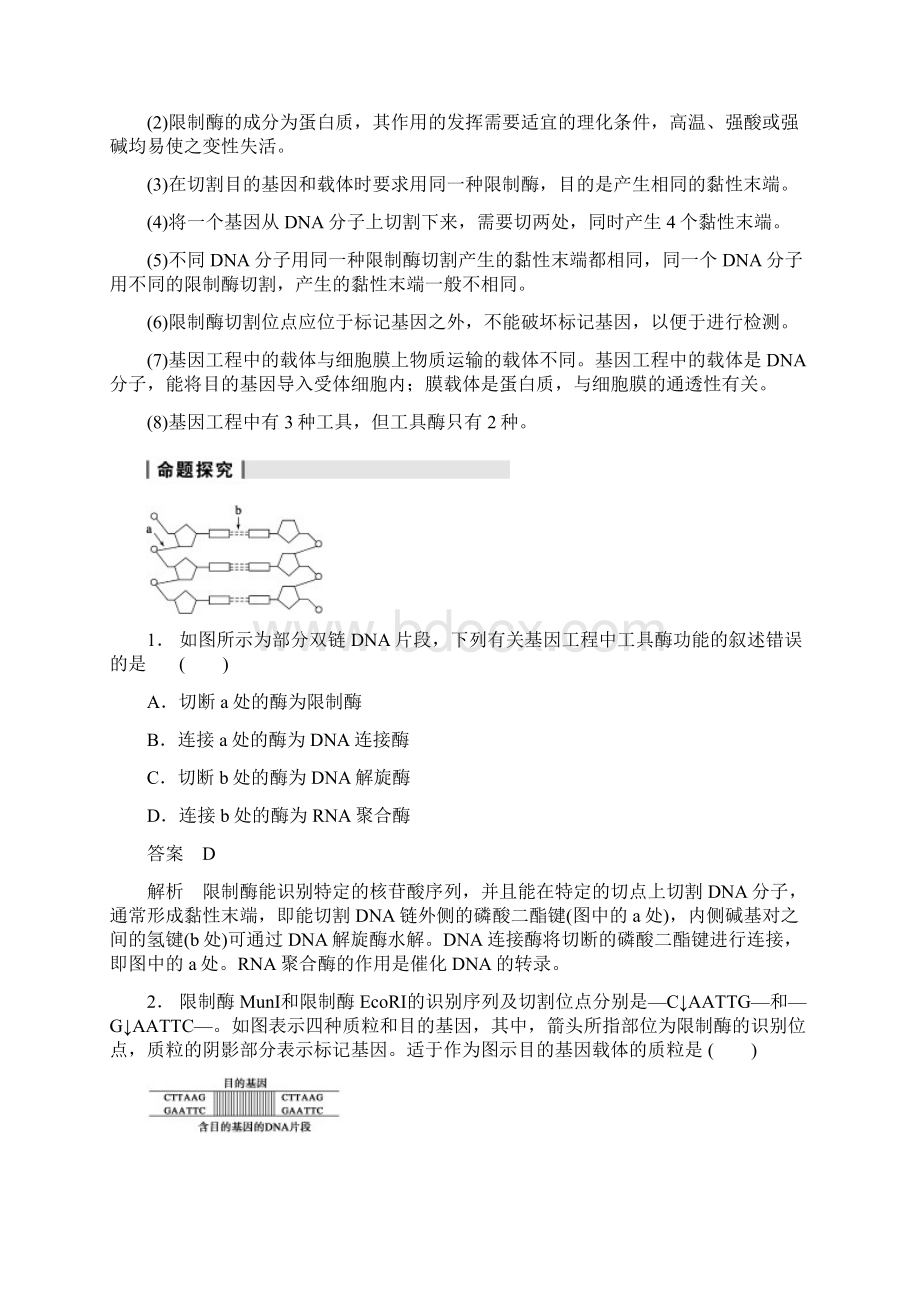 高考生物大一轮复习 第十单元 第37讲 基因工程教案Word文件下载.docx_第3页