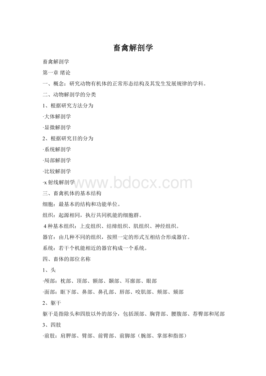 畜禽解剖学Word文件下载.docx