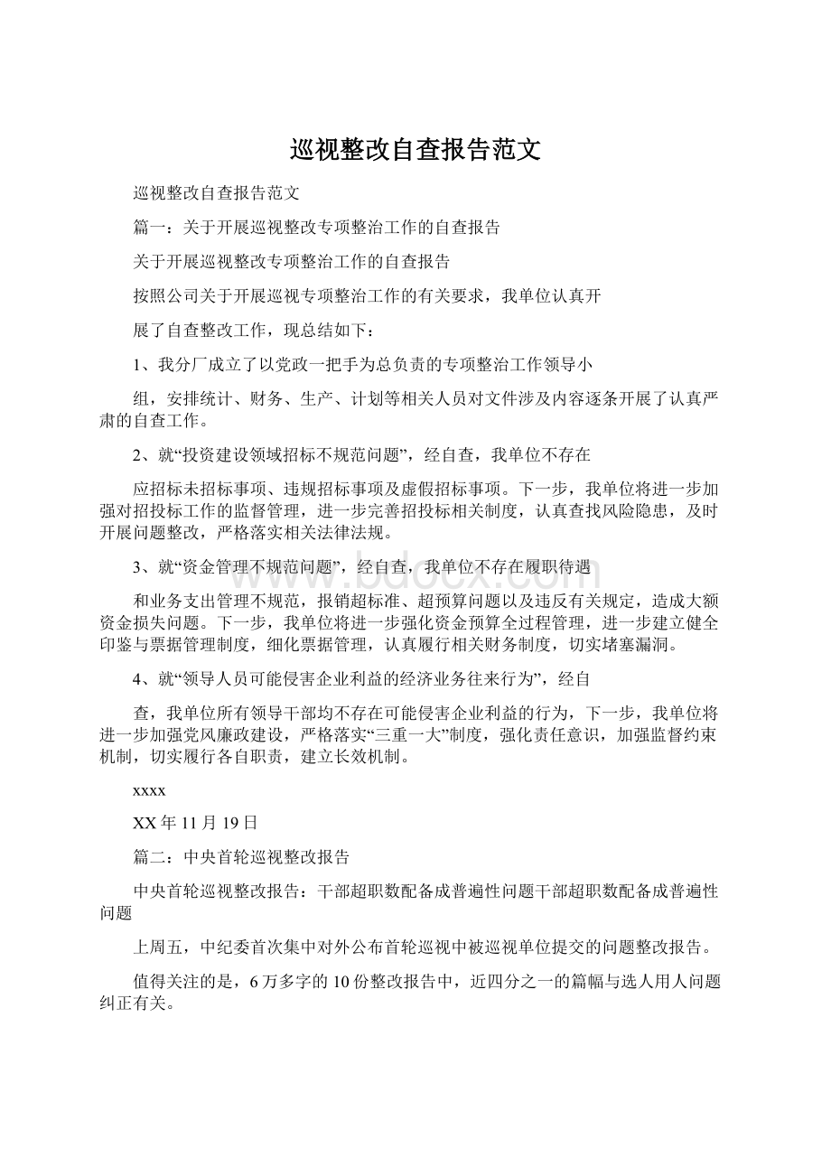 巡视整改自查报告范文Word下载.docx