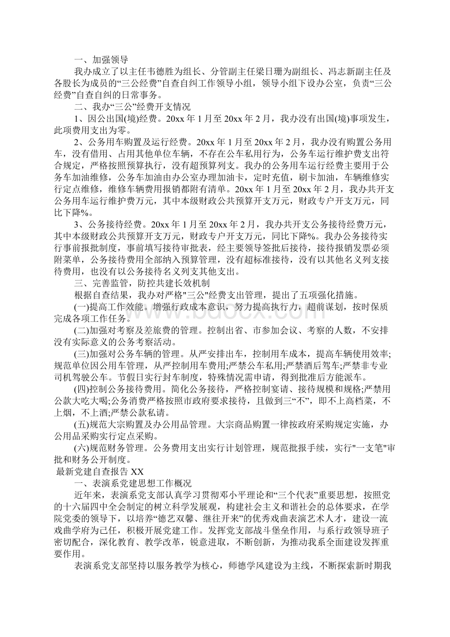 最新党建自查报告XX.docx_第2页