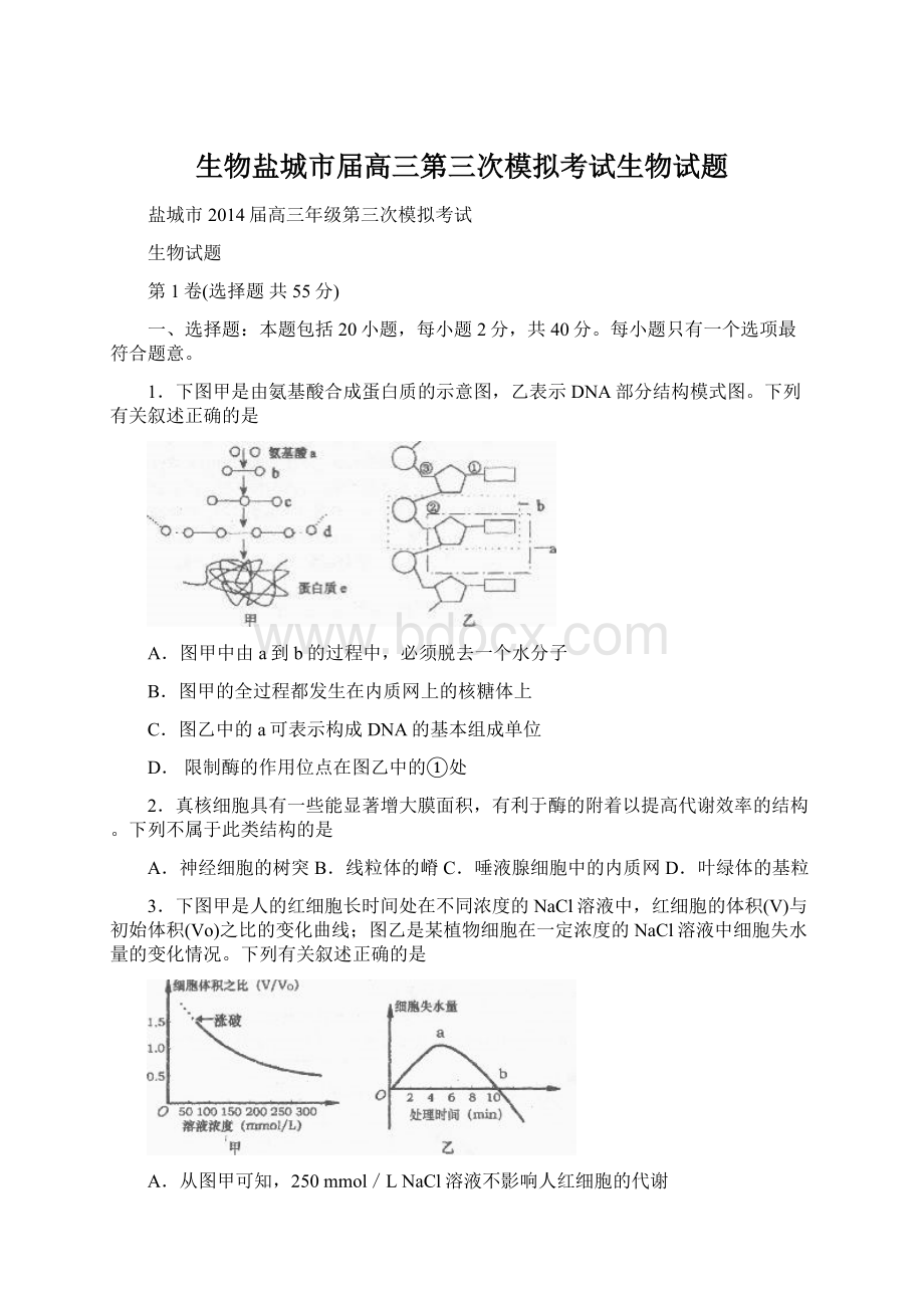 生物盐城市届高三第三次模拟考试生物试题.docx_第1页