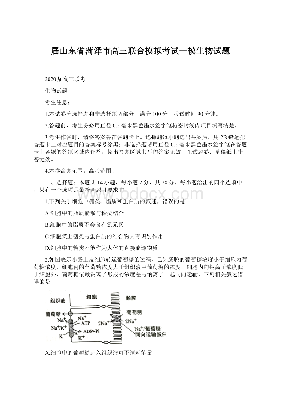 届山东省菏泽市高三联合模拟考试一模生物试题.docx_第1页