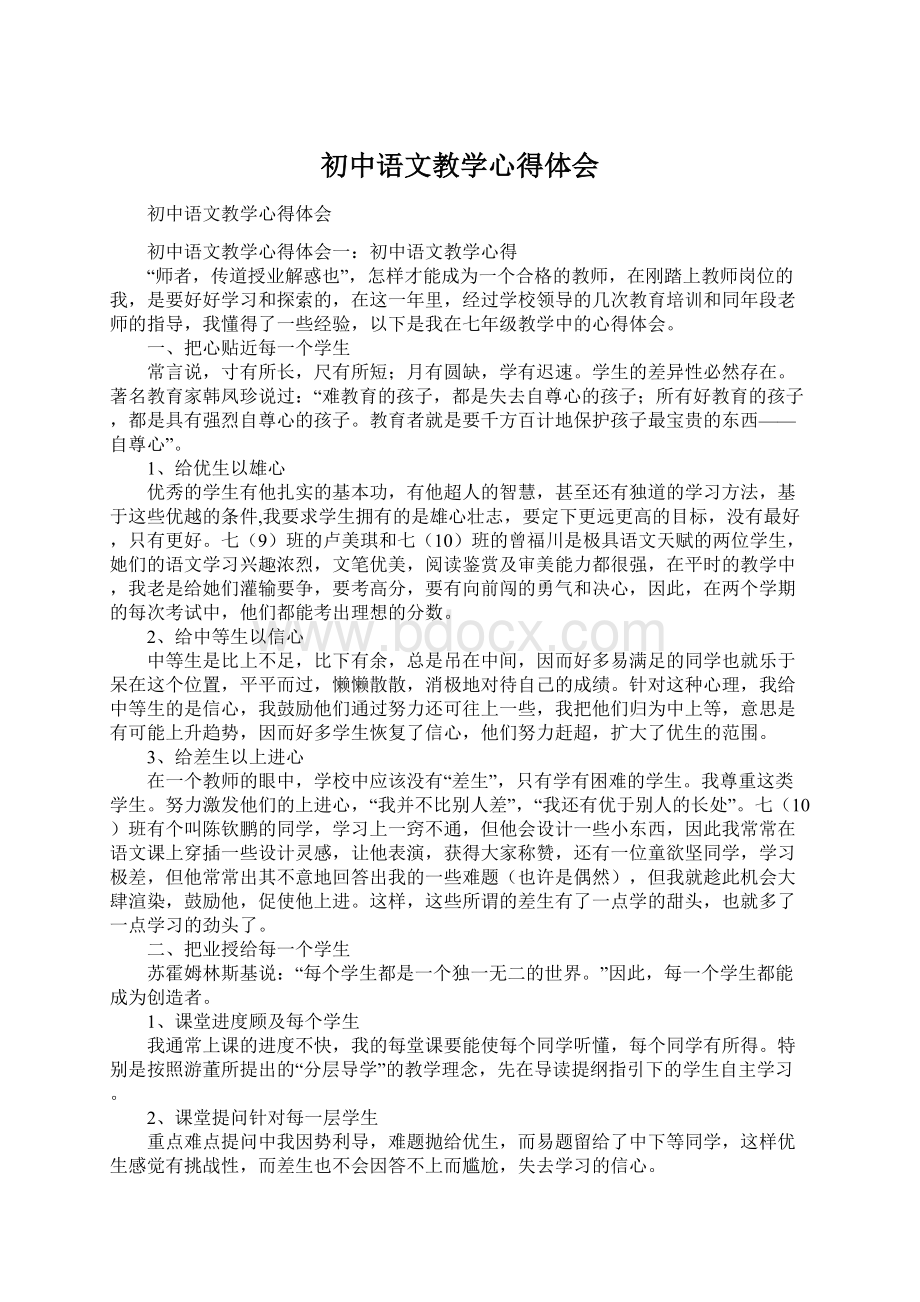 初中语文教学心得体会文档格式.docx