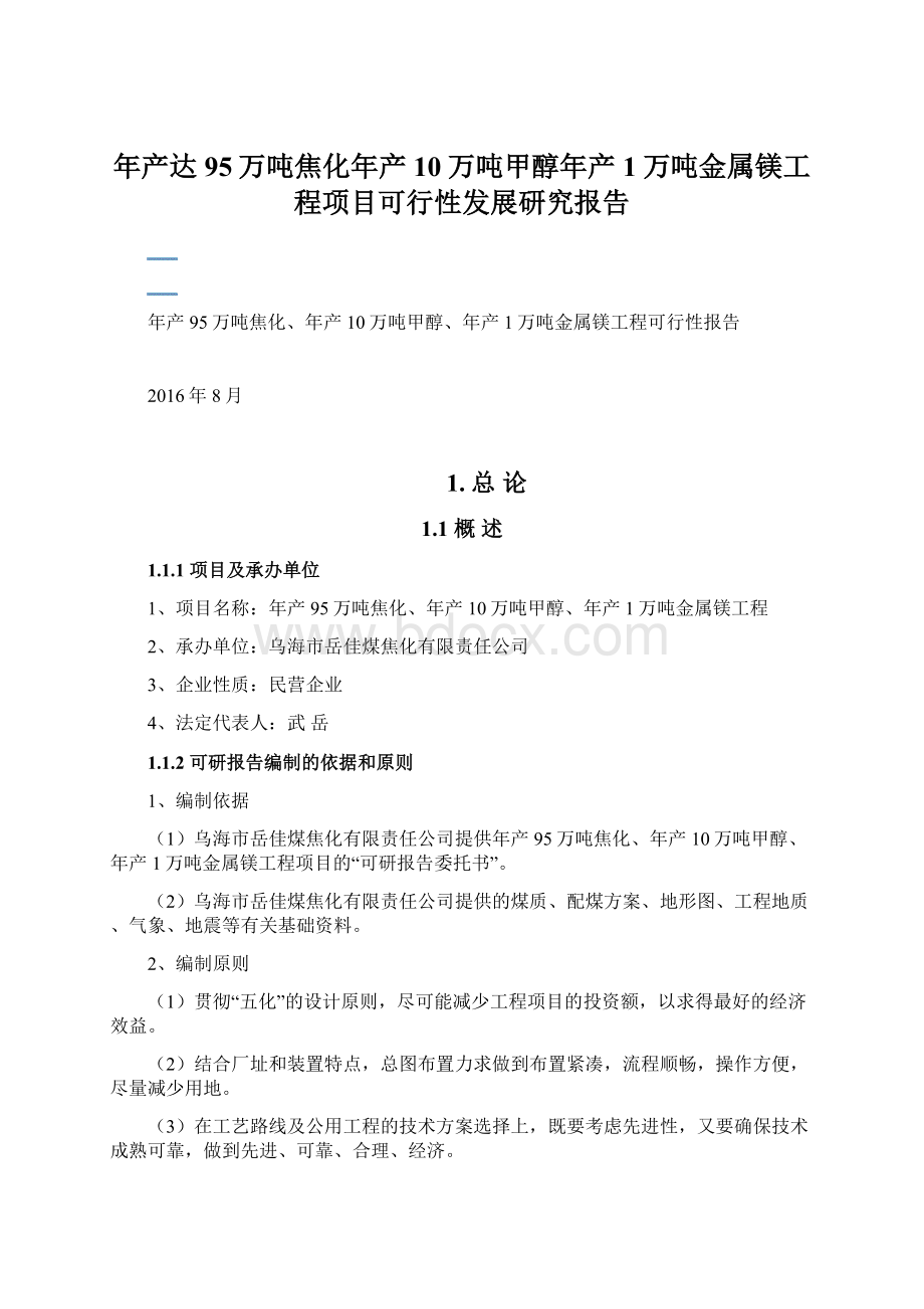 年产达95万吨焦化年产10万吨甲醇年产1万吨金属镁工程项目可行性发展研究报告Word格式文档下载.docx