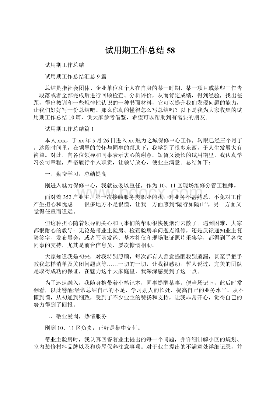 试用期工作总结58.docx