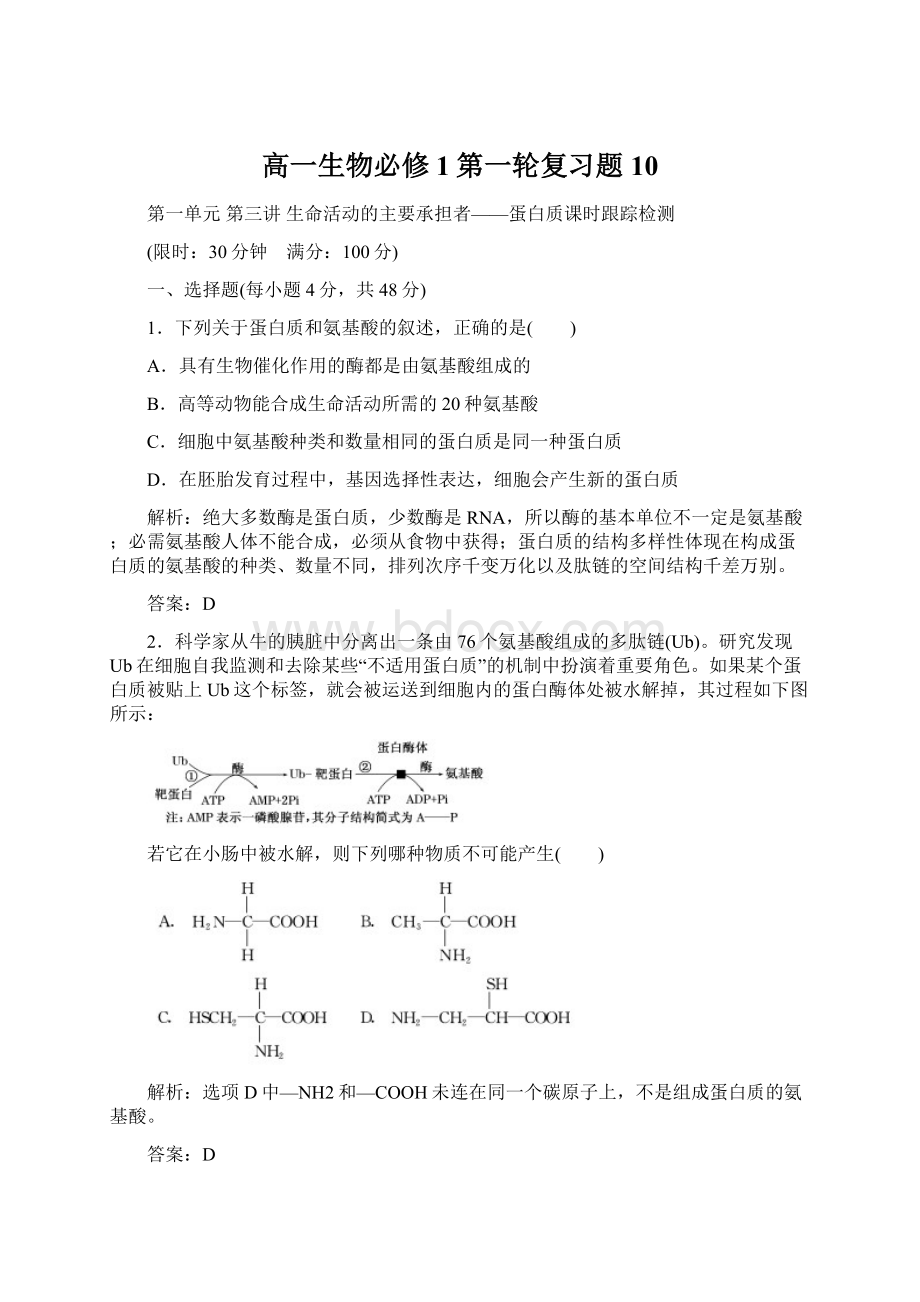 高一生物必修1第一轮复习题10.docx