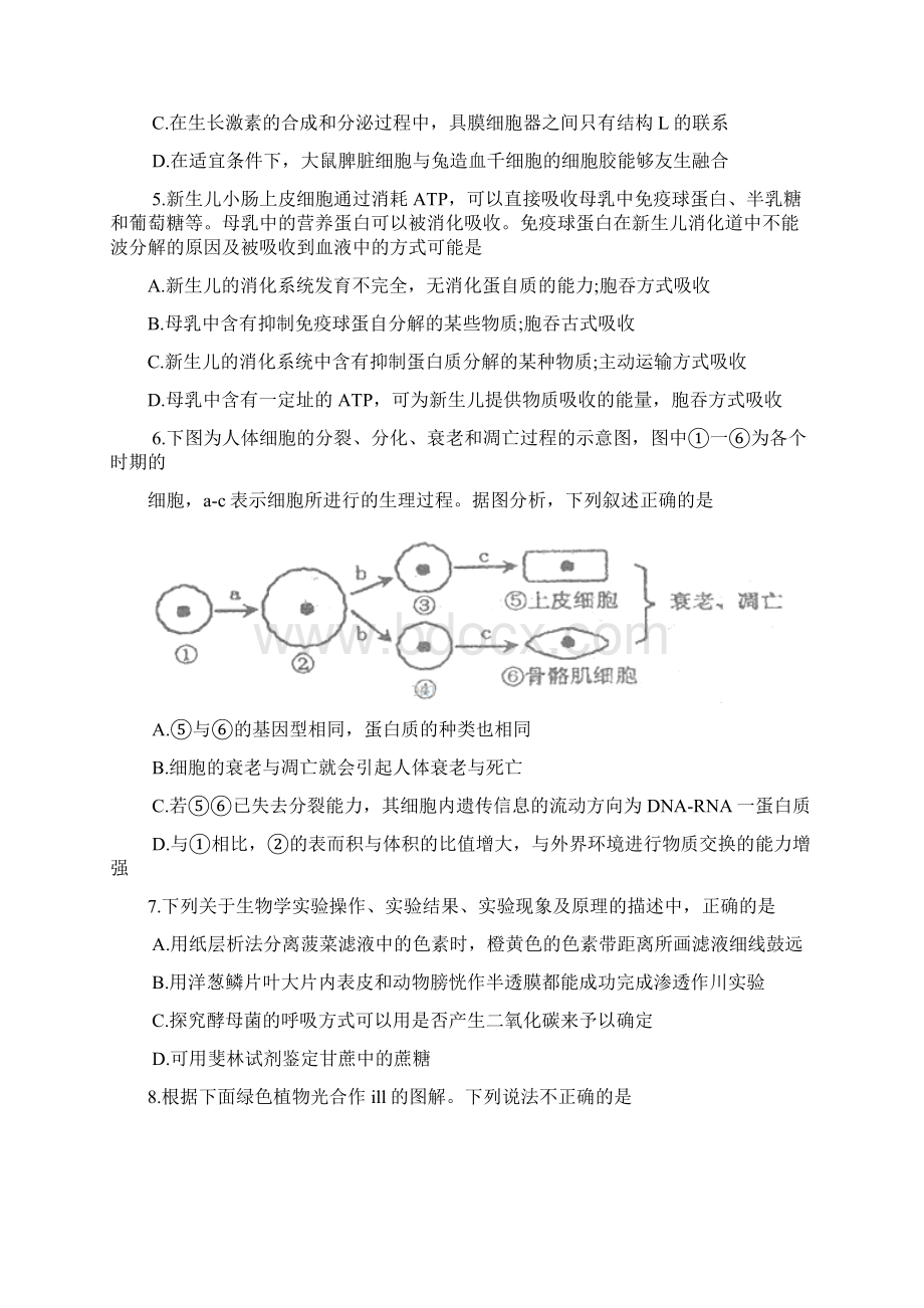 山东省曲阜市学年高三上学期期中教学质量检测生物试题Word版含答案Word文件下载.docx_第2页