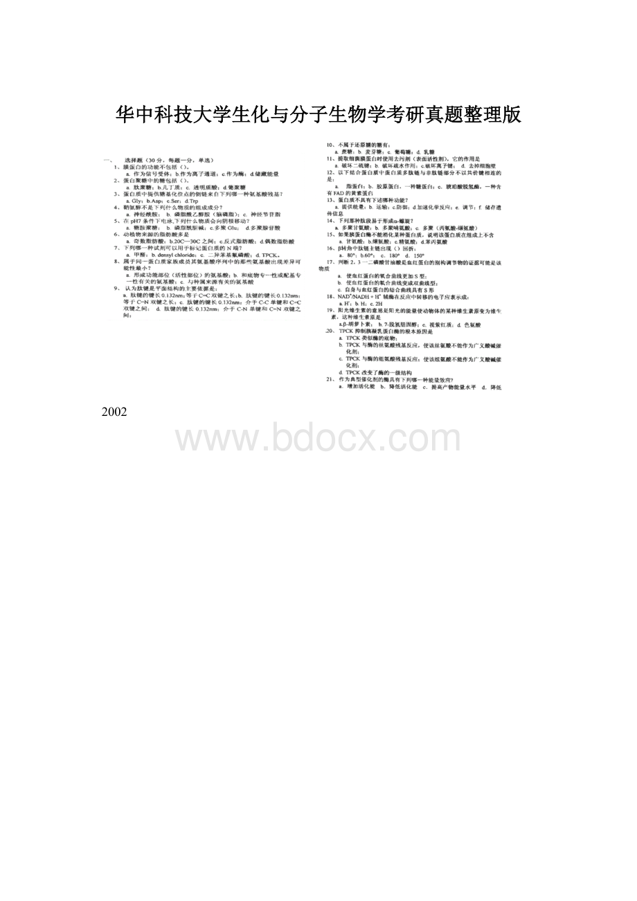 华中科技大学生化与分子生物学考研真题整理版.docx