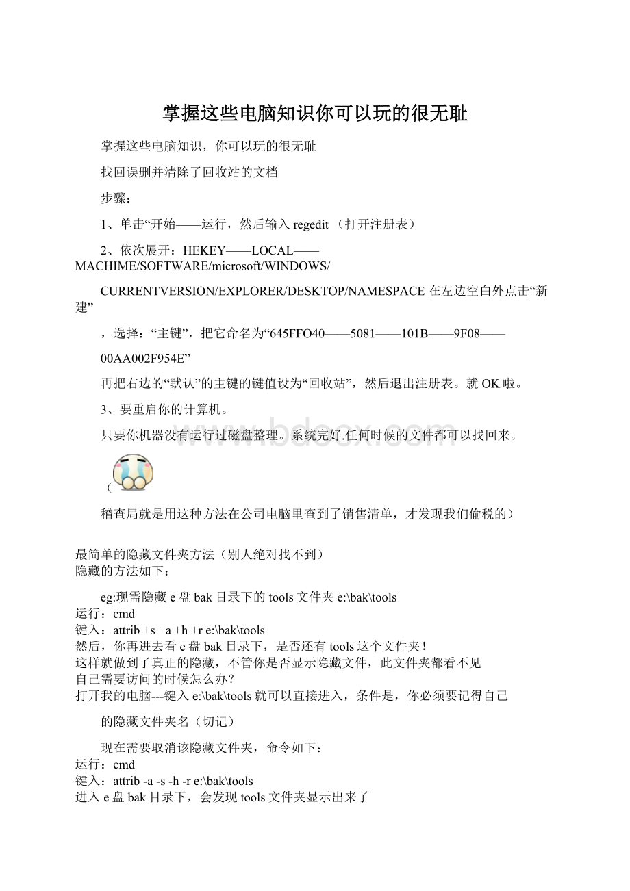 掌握这些电脑知识你可以玩的很无耻.docx