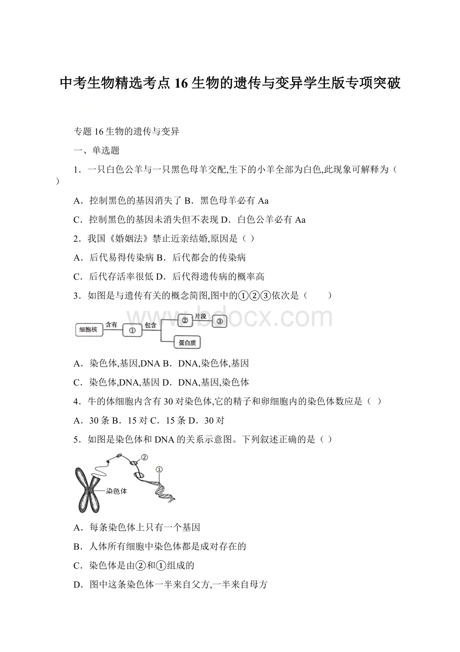 中考生物精选考点16 生物的遗传与变异学生版专项突破.docx