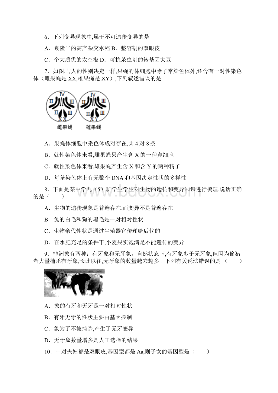 中考生物精选考点16 生物的遗传与变异学生版专项突破.docx_第2页