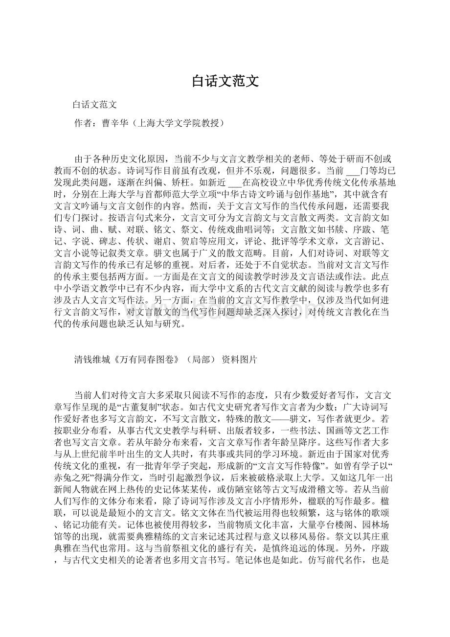 白话文范文Word格式文档下载.docx