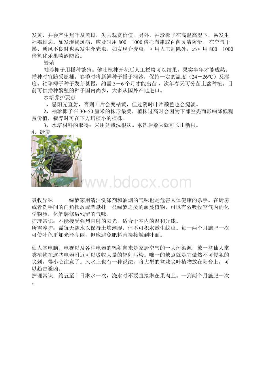 环保植物.docx_第3页