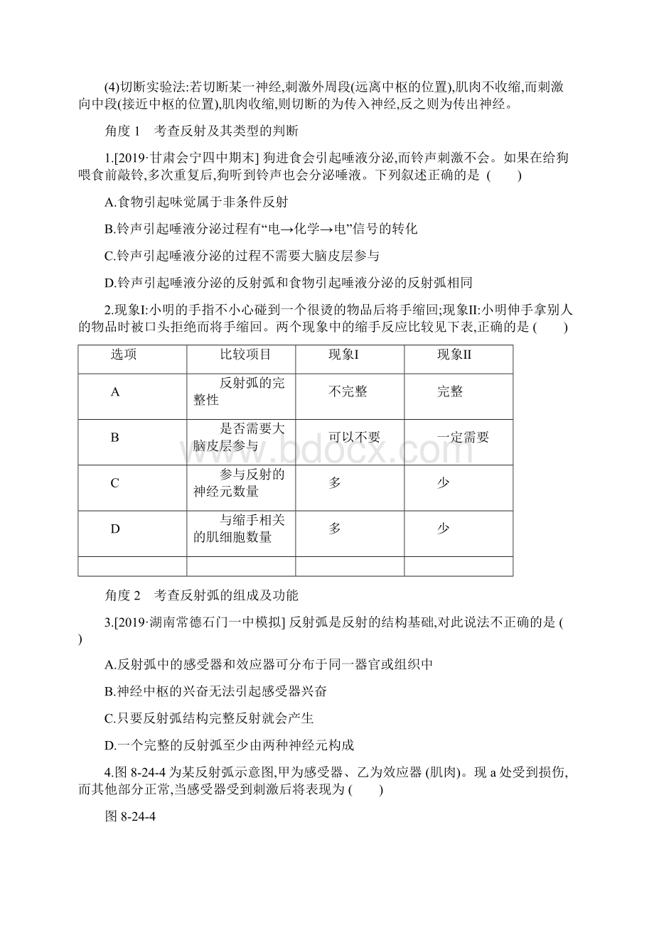 第24讲 人和高等动物的神经调节文档格式.docx_第3页