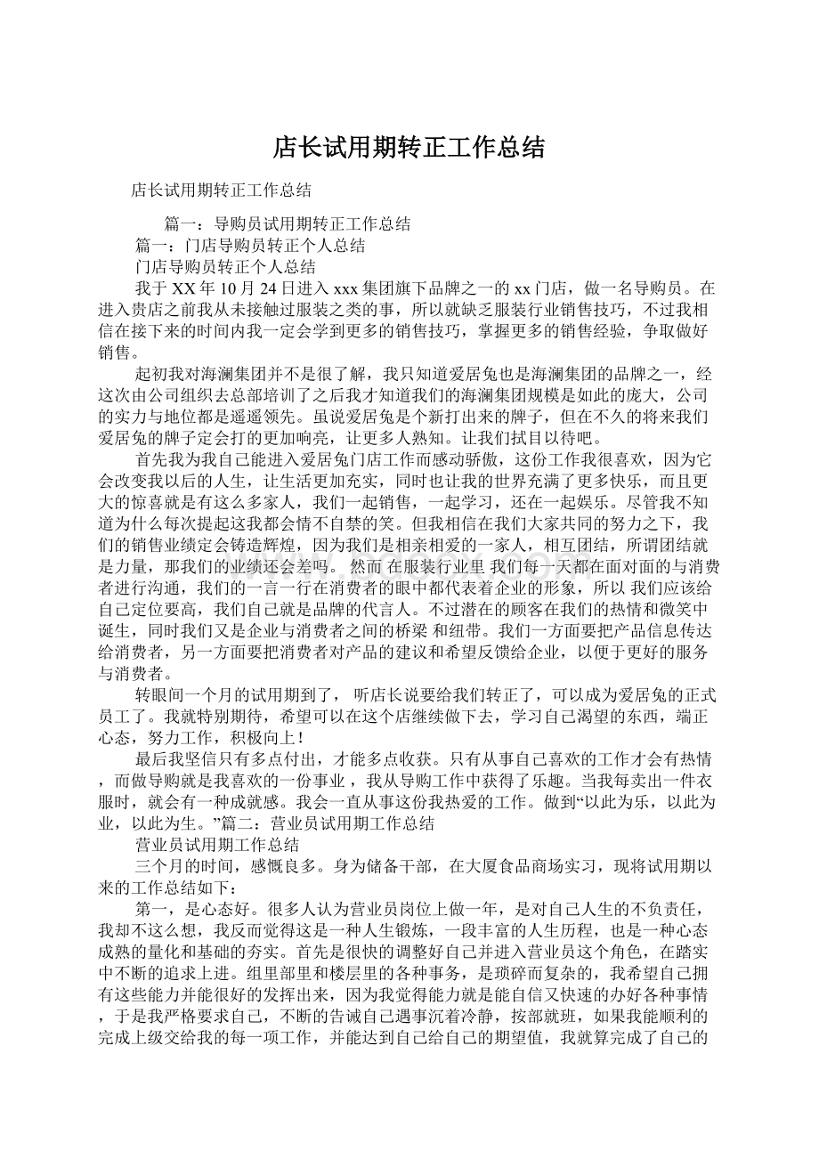 店长试用期转正工作总结Word格式文档下载.docx_第1页