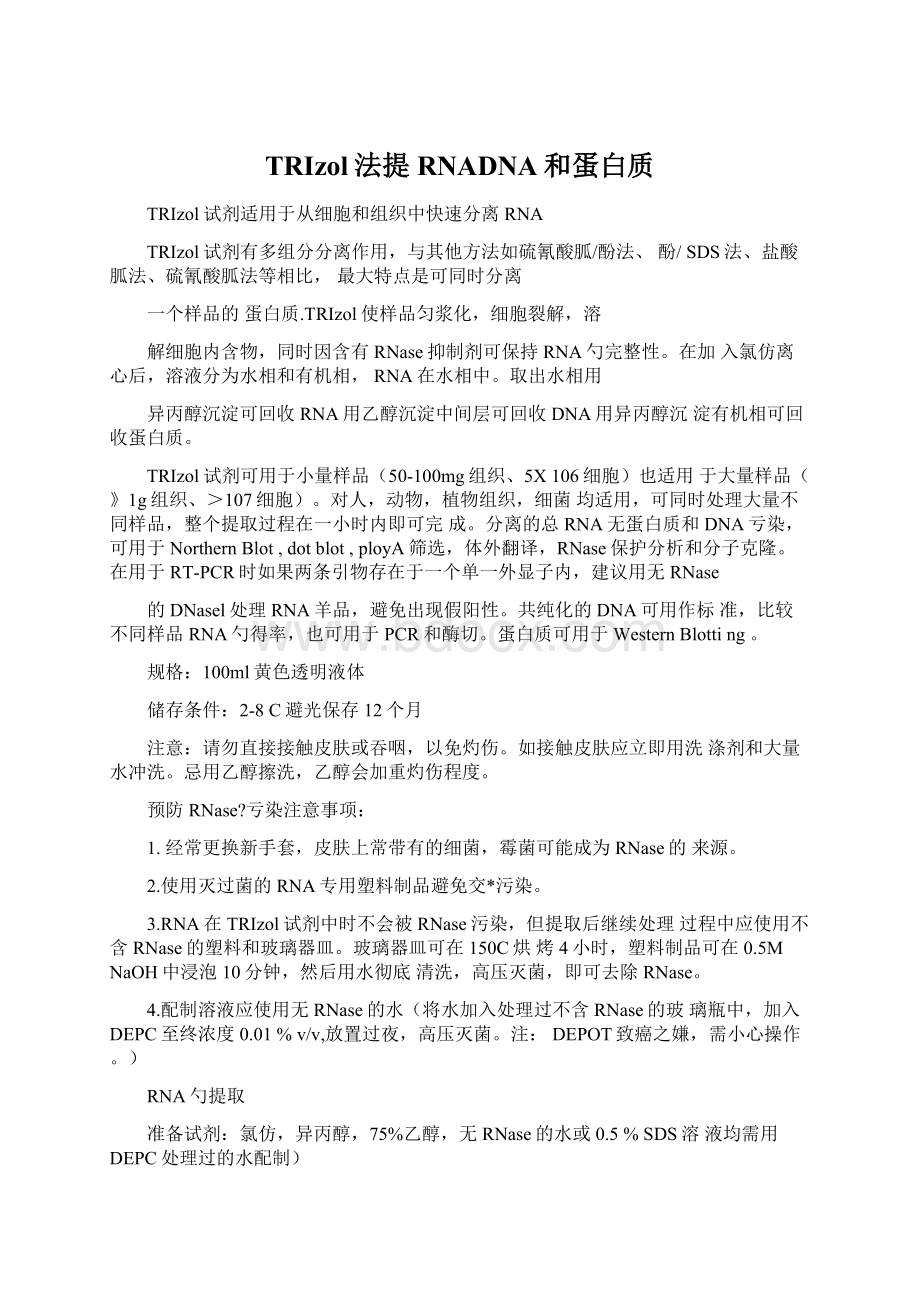 TRIzol法提RNADNA和蛋白质Word格式文档下载.docx