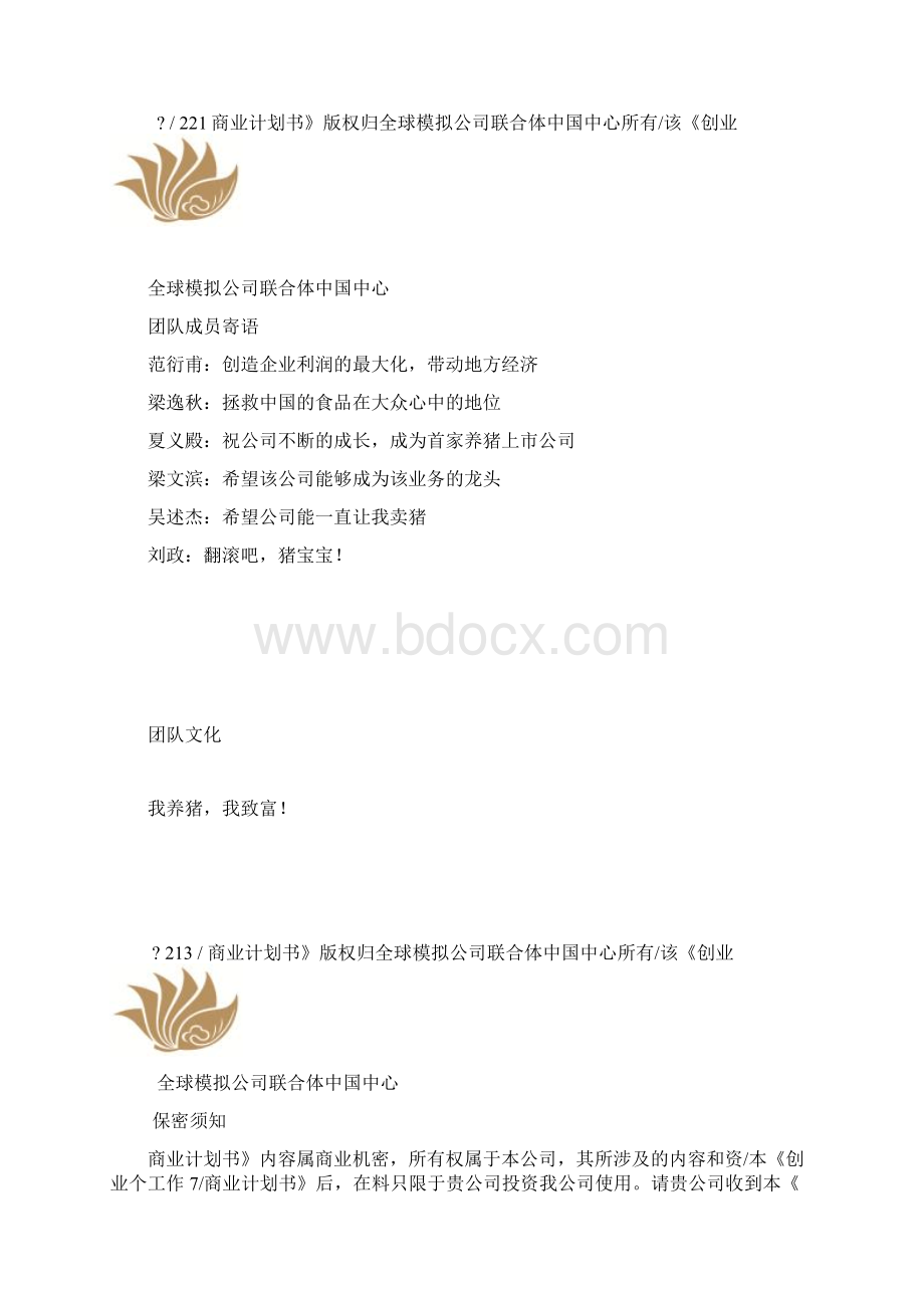 创业商业计划书BP.docx_第3页