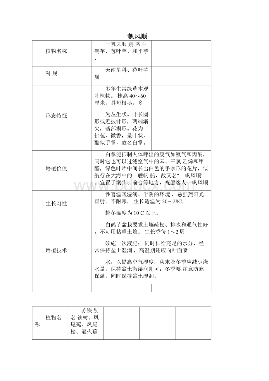 家中常见盆栽花卉小知识.docx_第3页