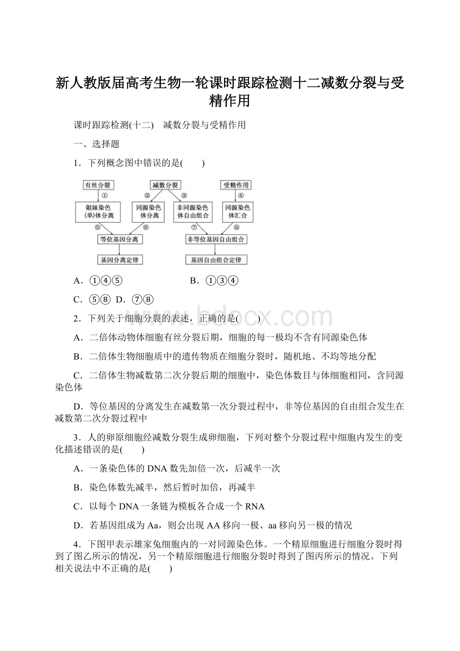 新人教版届高考生物一轮课时跟踪检测十二减数分裂与受精作用Word格式文档下载.docx