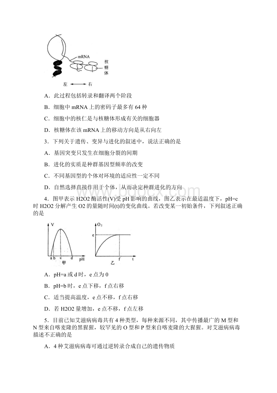 高三下学期第一次模拟考试理综试题含答案Word文件下载.docx_第2页