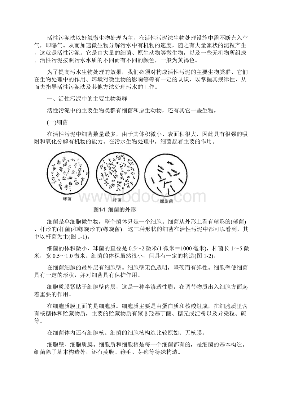 活性污泥微生物学实际经验总结绝对实用Word下载.docx_第2页