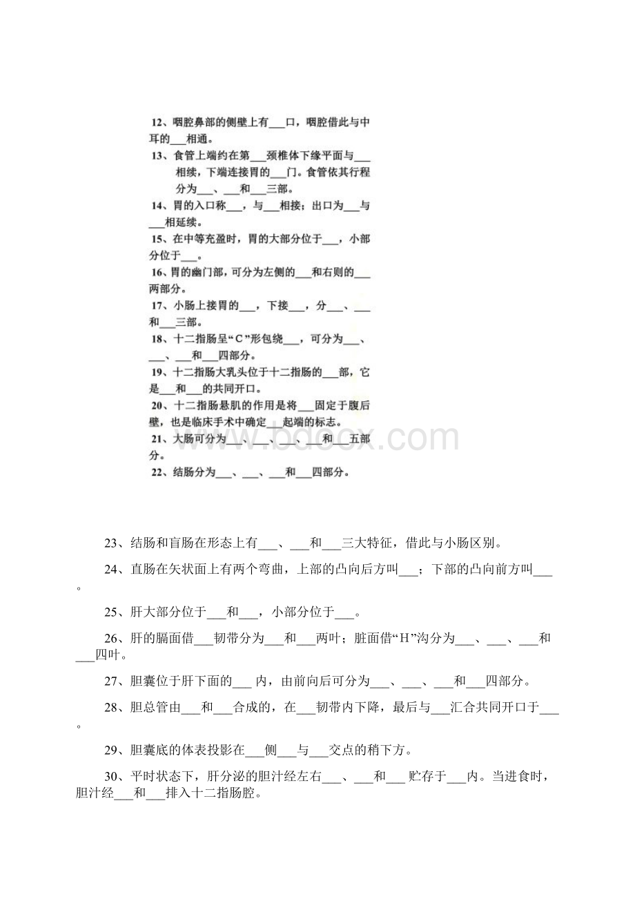 系统解剖学考题与答案消化系统Word文件下载.docx_第3页