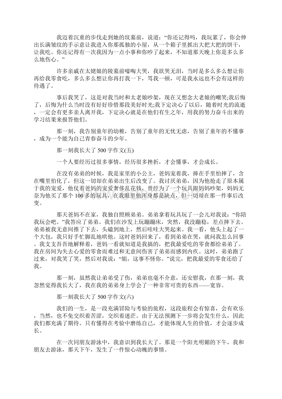 那一刻我长大了500字作文10篇.docx_第3页