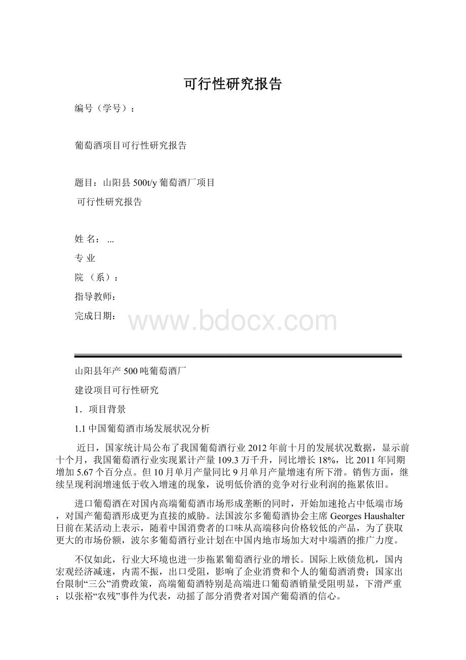 可行性研究报告文档格式.docx