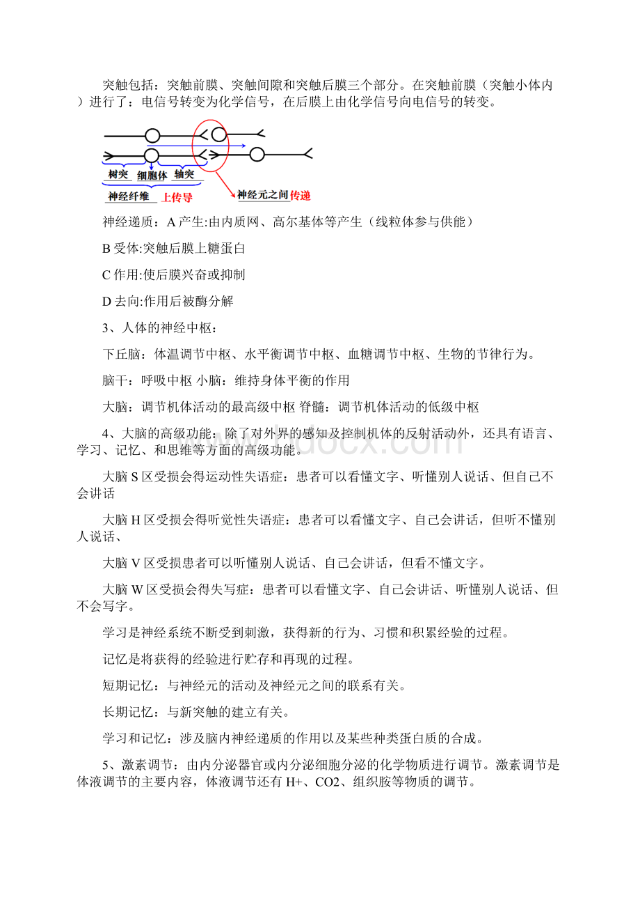 最新高中生物动物和人体生命活动的调节 精品文档格式.docx_第2页