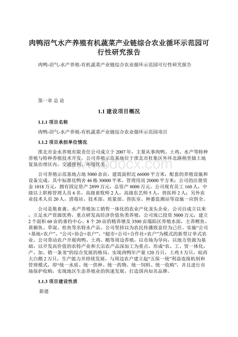 肉鸭沼气水产养殖有机蔬菜产业链综合农业循环示范园可行性研究报告.docx_第1页