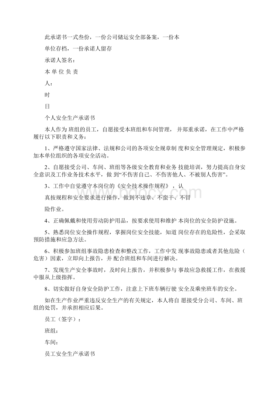 安全生产工作承诺书Word文档格式.docx_第2页