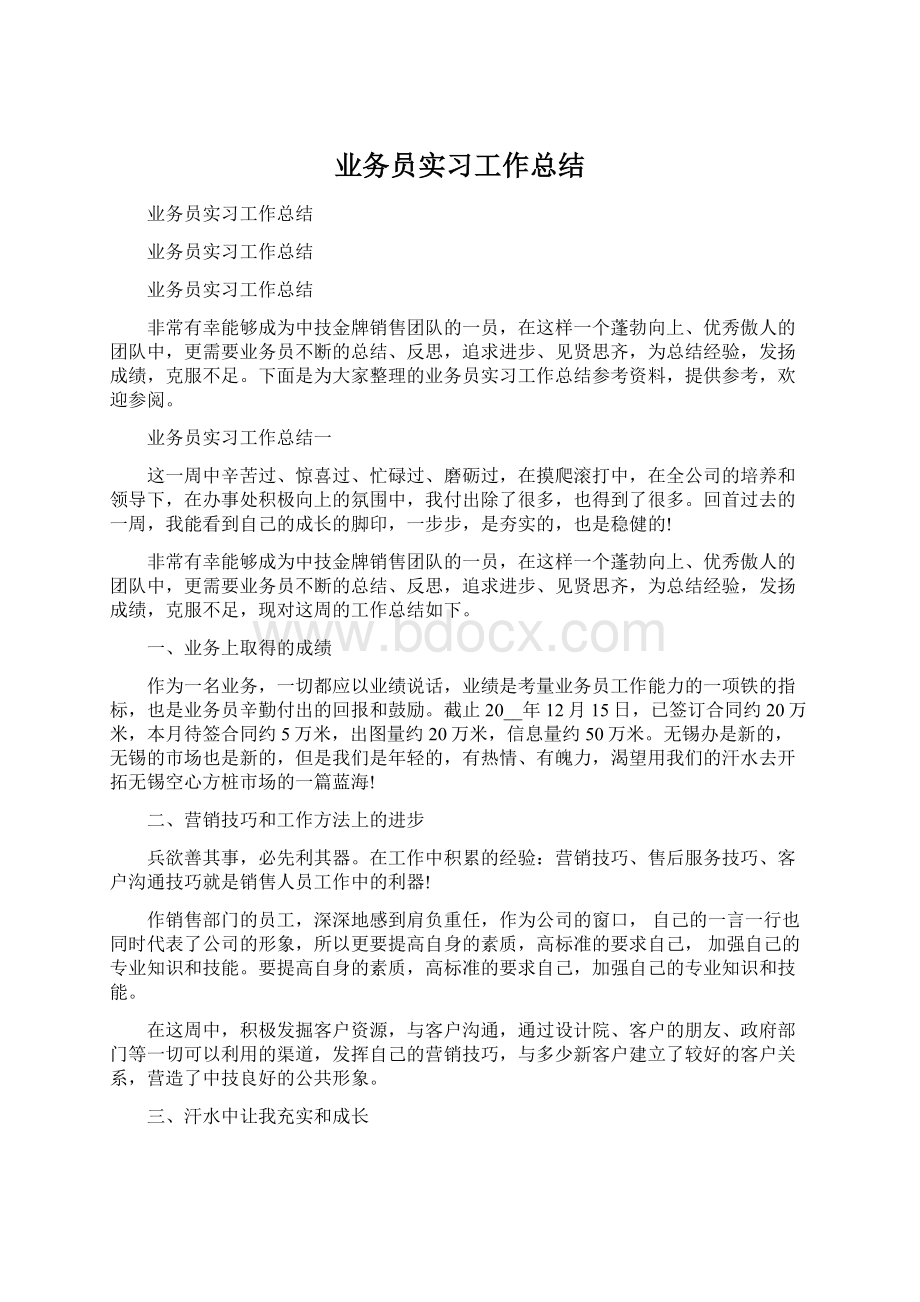 业务员实习工作总结Word文档格式.docx