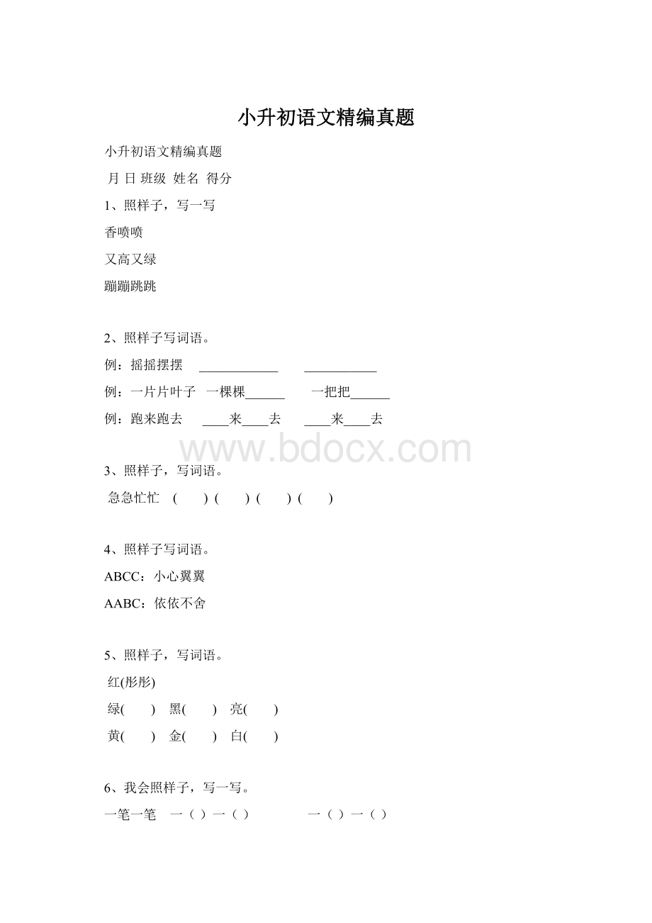 小升初语文精编真题.docx_第1页