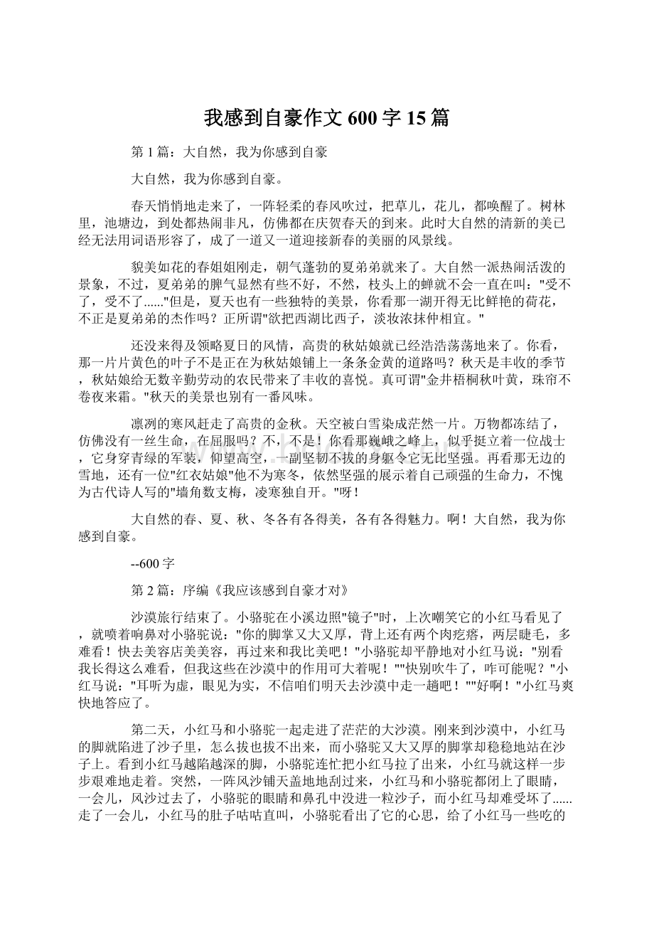 我感到自豪作文600字15篇Word文档格式.docx