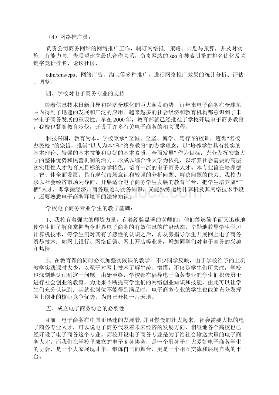 工作报告之电商协会可行性报告.docx_第3页