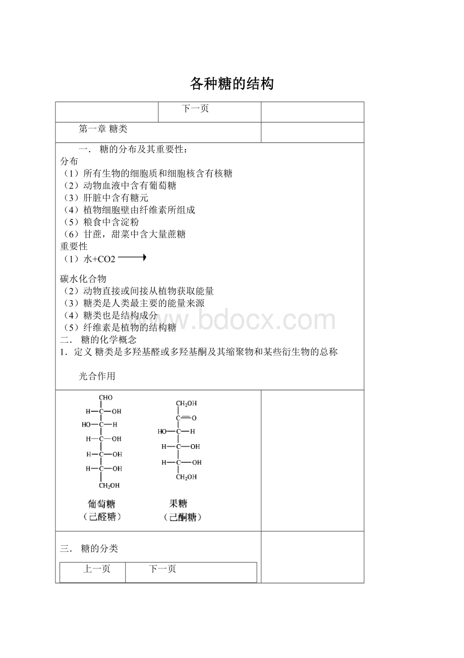 各种糖的结构Word格式.docx