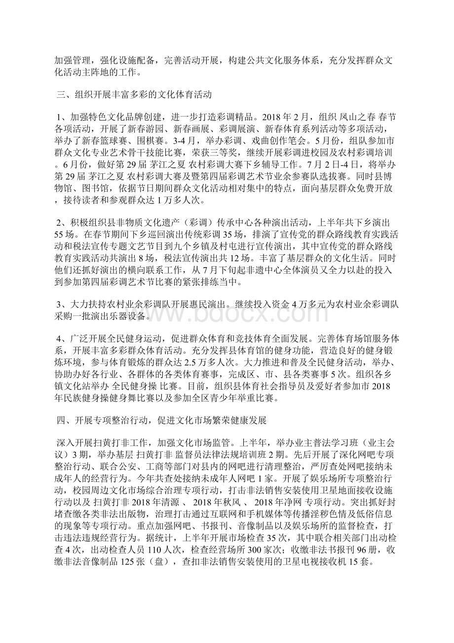 最新文化局半年工作总结文档格式.docx_第2页