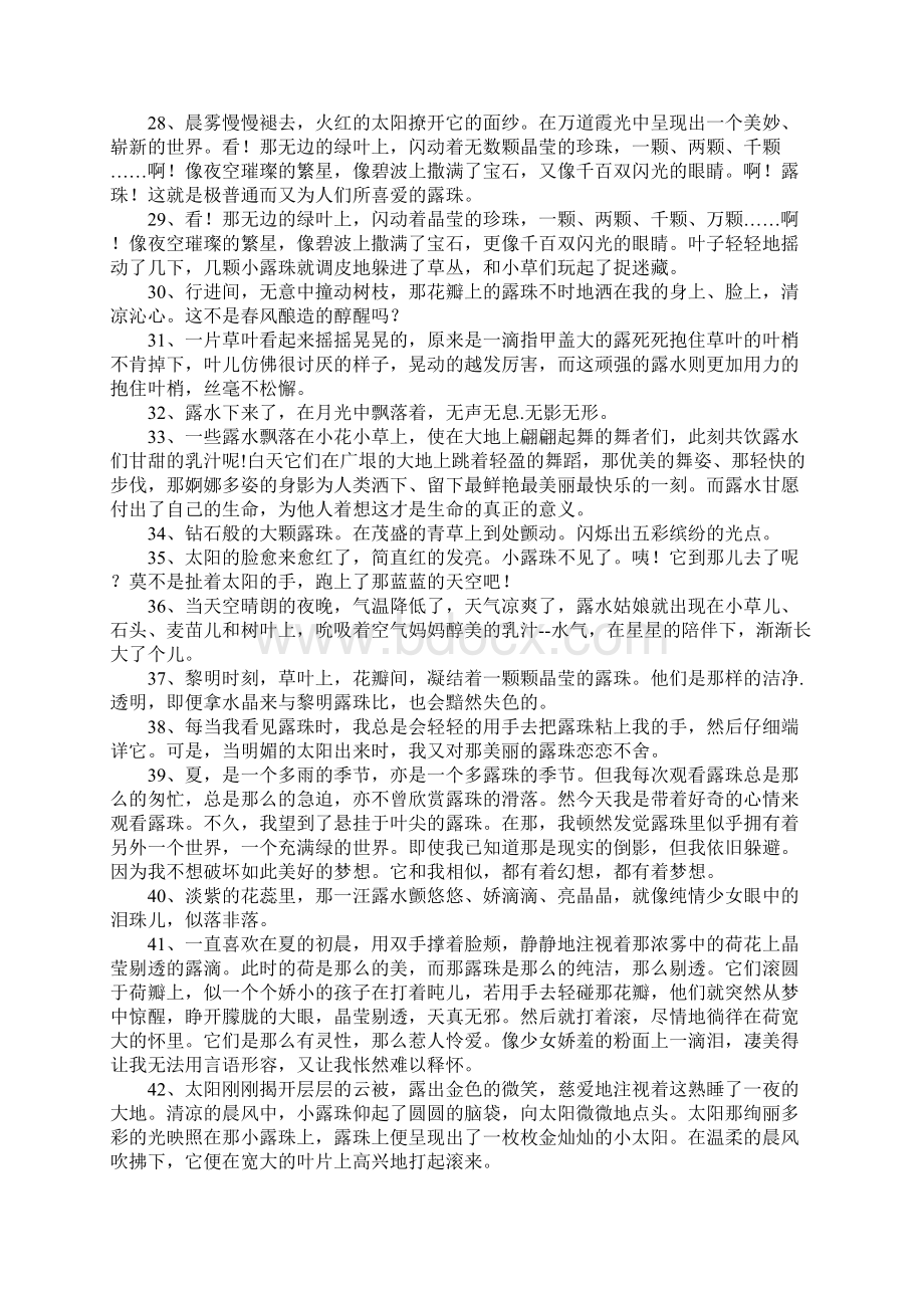 关于露珠的句子.docx_第3页