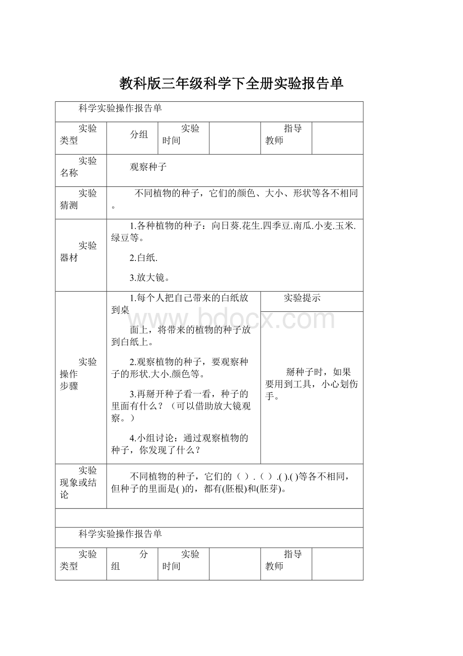 教科版三年级科学下全册实验报告单Word文件下载.docx_第1页